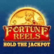 Fortune ReelsVoltent game thumbnail